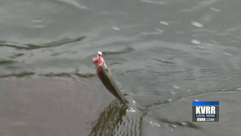 MN DNR's electronic licensing system for fishing and hunting to open June 9