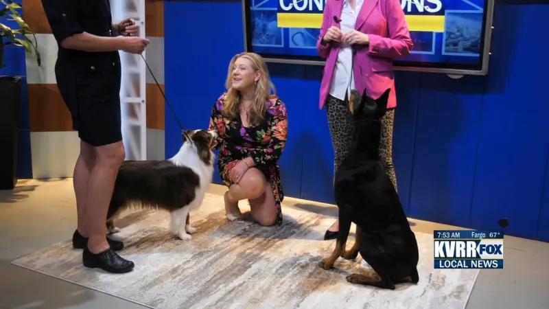 Dogged Enthusiasm at the Fargo Moorhead Kennel Club