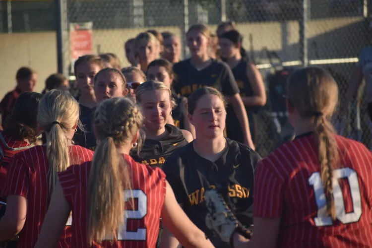 Rabbits' season comes to an end vs. BOLD