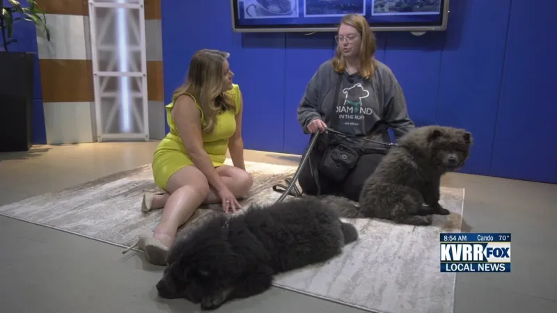 Pet Connection: Meet Rolie and Polie