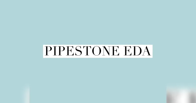 Pipestone City Council in brief: