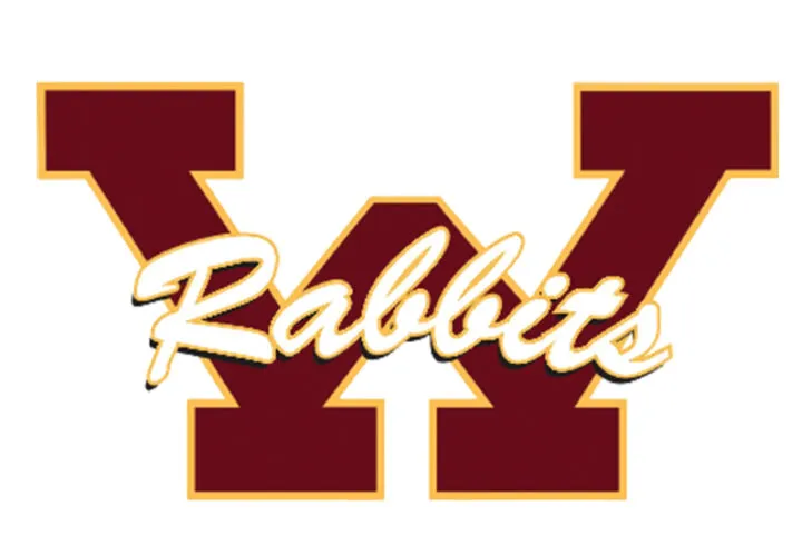 Wabasso qualifies 2 for state track and field