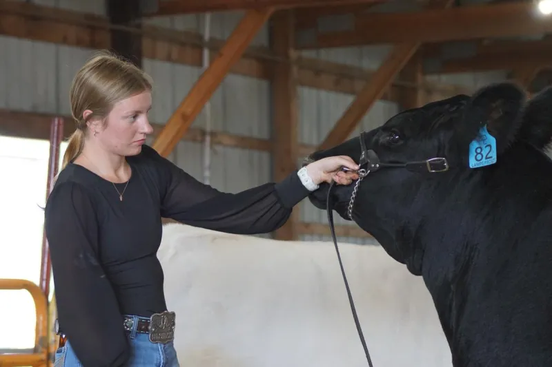 Central MN Kids Get Grants To Show Livestock at the State Fair