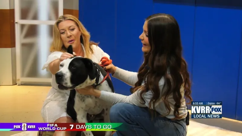 Pet Connection: Meet Kenny G