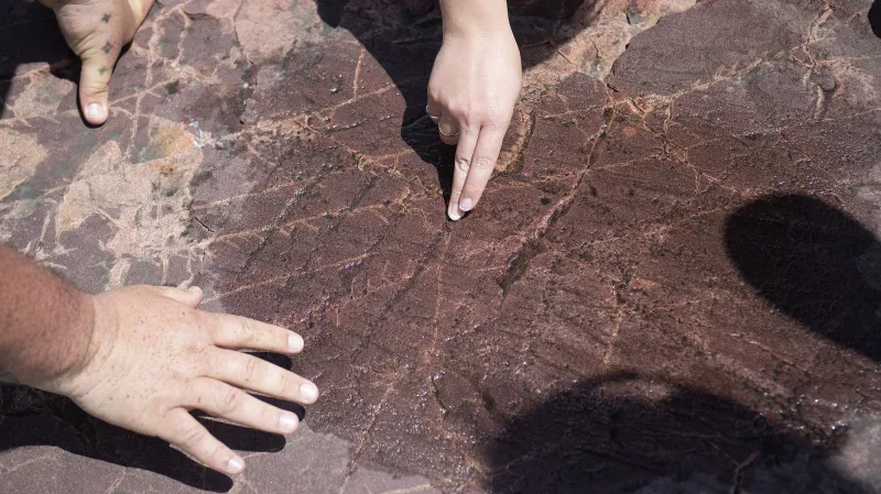 New exhibit shows off Minnesota petroglyphs