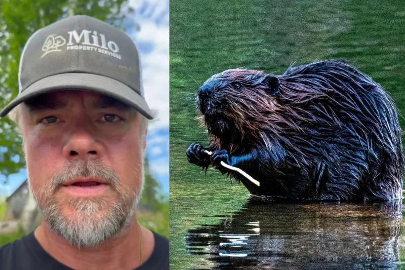 'This Means War' Josh Duhamel Has A Beaver Problem