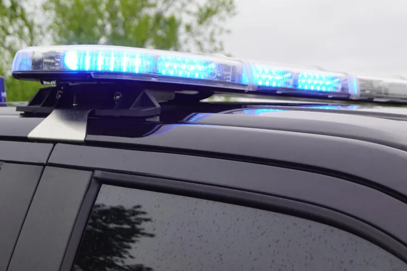 Elderly Man Dies in Tree Accident in Douglas County
