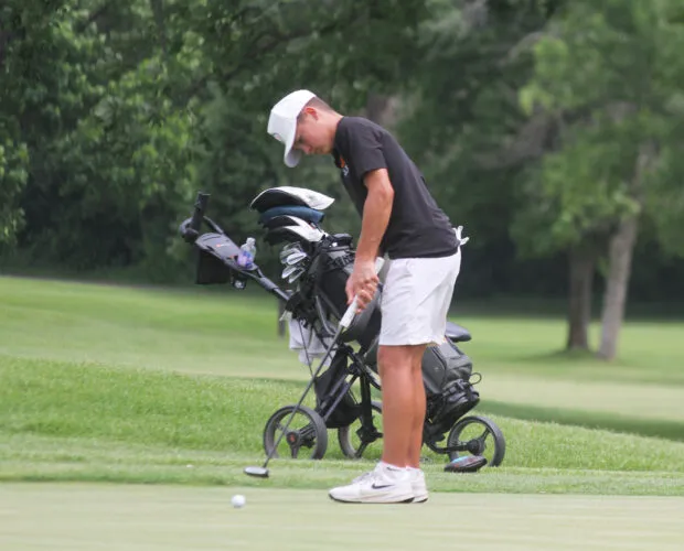 Kucera, Arneson, Buegler finish in top 30 at state