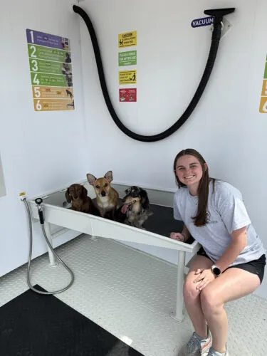 Dog House owner soaking up the success of self serve dog wash