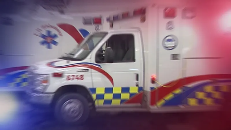 Man killed by falling tree in Brandon, MN is identified