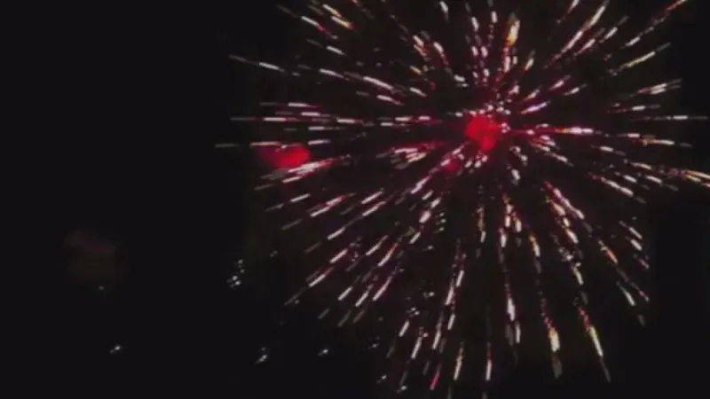 Horace couple petitions to shorten city fireworks ordinance