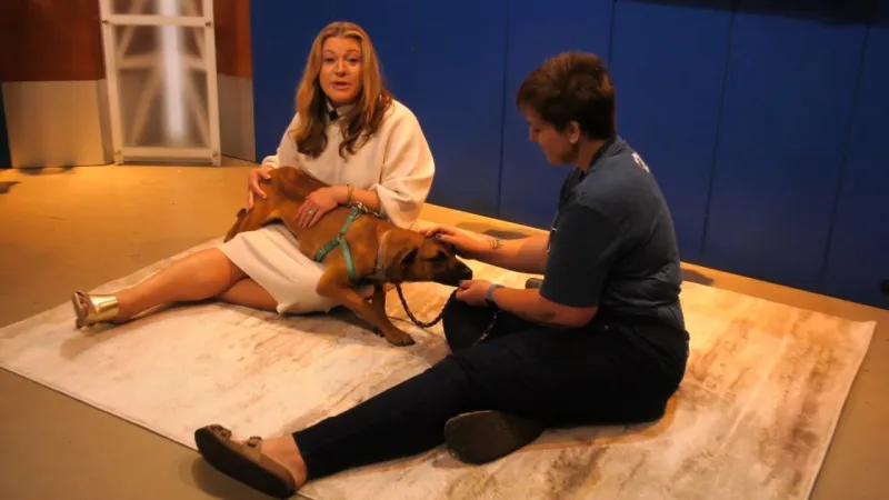 Pet Connection: Meet Bilmuri