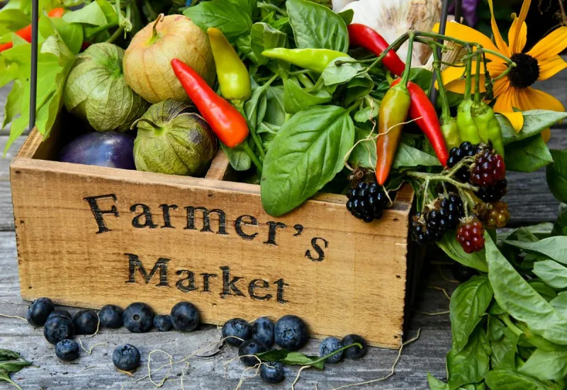 Farmer's Markets in the St. Cloud Area - Where and When