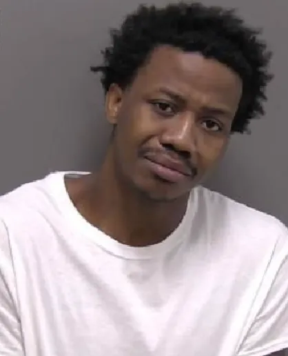 Horace man charged in shooting death of his girlfriend pleads guilty to manslaughter