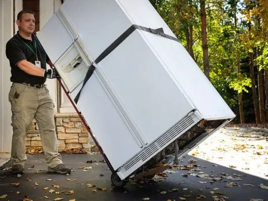 Get $50 for Your Old Refrigerator or Freezer from Xcel Energy