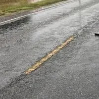 Rain showers pushed across the area yesterday, (Tuesday) Alexandria receives 1.30 inches
