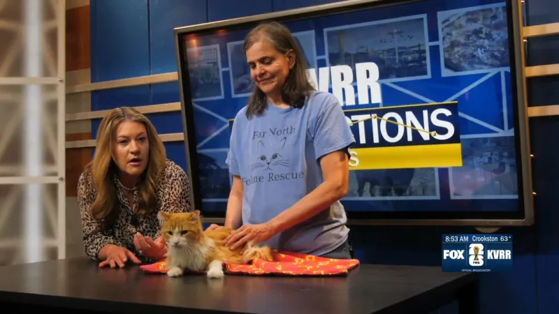 Pet Connection: Meet Chester
