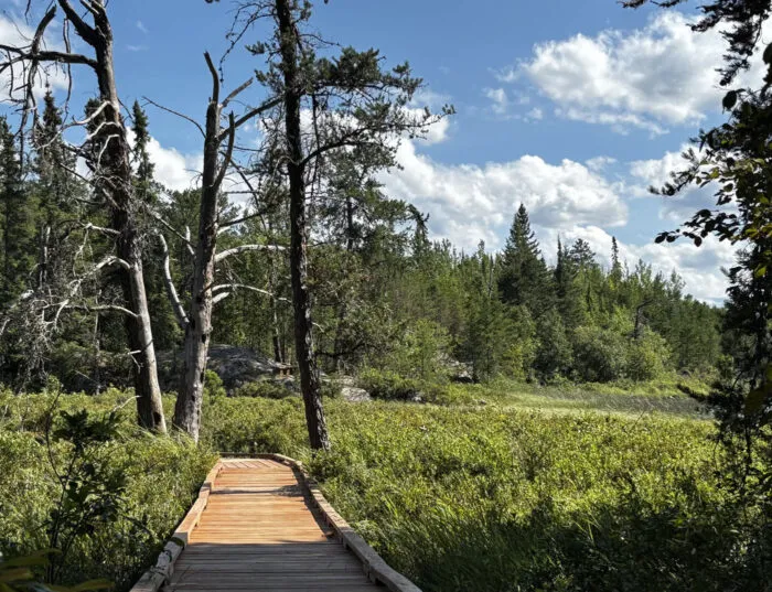 Chik-Wauk Museum and Nature Center June update