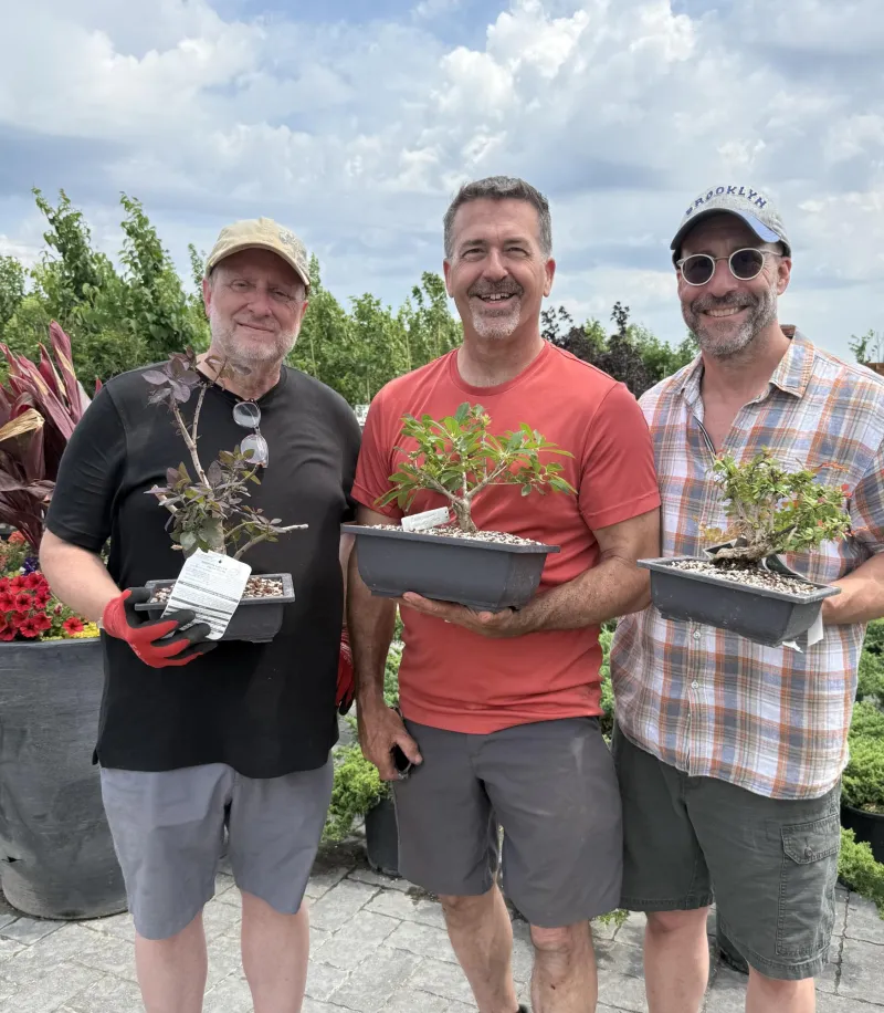 SAP man seeks bonsai bonanza in retirement