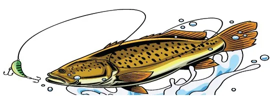 Record rundown: Anglers catch new state record fish