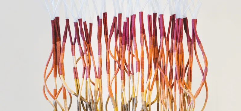 Tali Weinberg's artworks stretch the definition of marine art