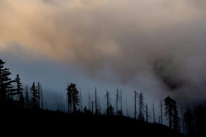 Wildfire in Quetico Provincial Park prompts closures and evacuations