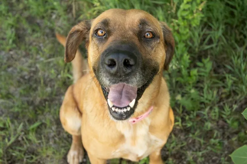 Glory Walked The Granite City Parade And Now She's Looking For Her People