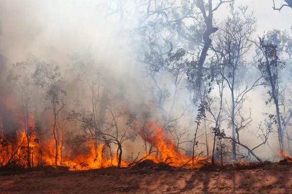 Four wildfires reported on Superior National Forest, three burning in BWCAW