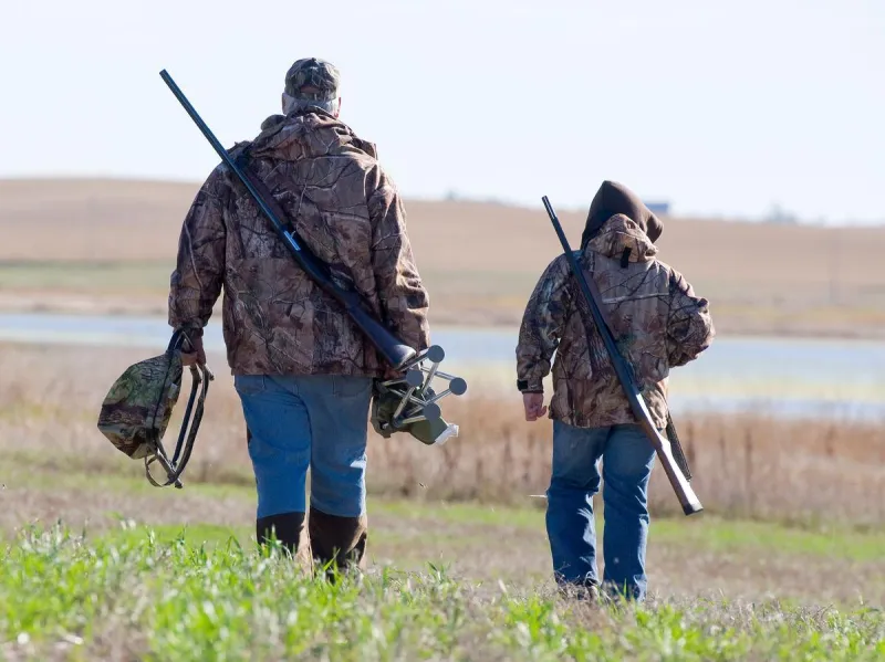 Minnesota Grouse Numbers Are Dipping Right On Schedule With Their Natural Cycle