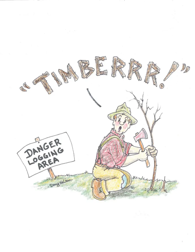 Better than a movie: Watching expert tree fellers at work