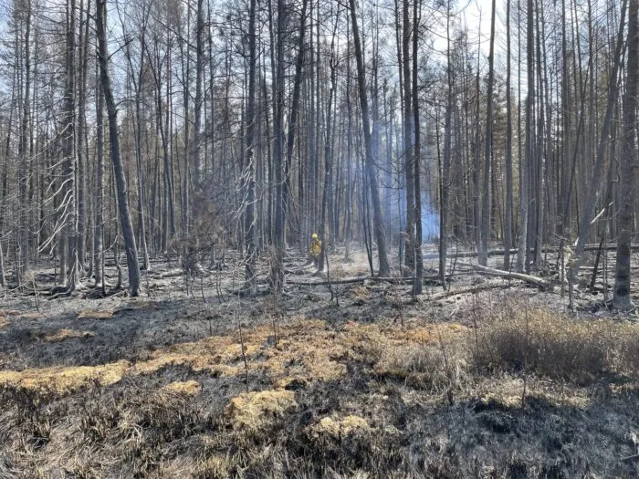 Multiple new wildfires detected across Superior National Forest