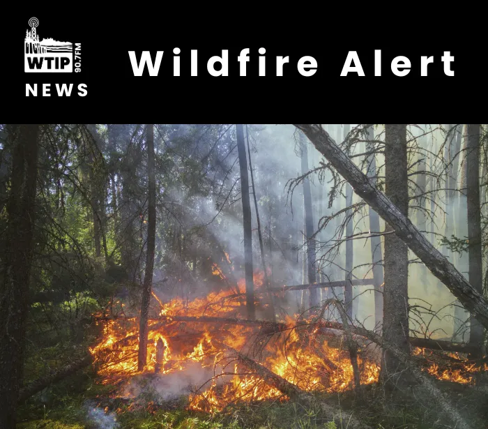 Wildfires prompt BWCAW closures, forestwide campfire restrictions in Superior National Forest