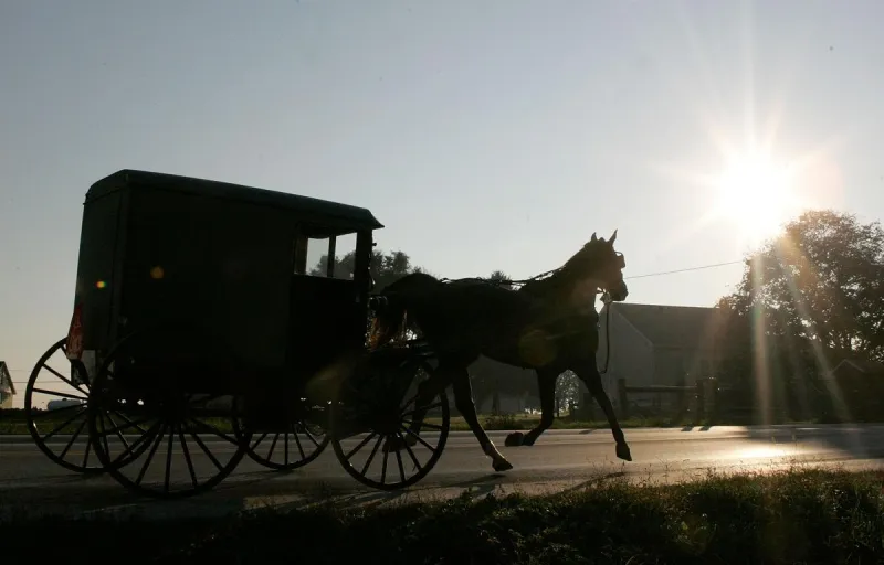 Alcohol Suspected in Lanesboro Amish Buggy Crash