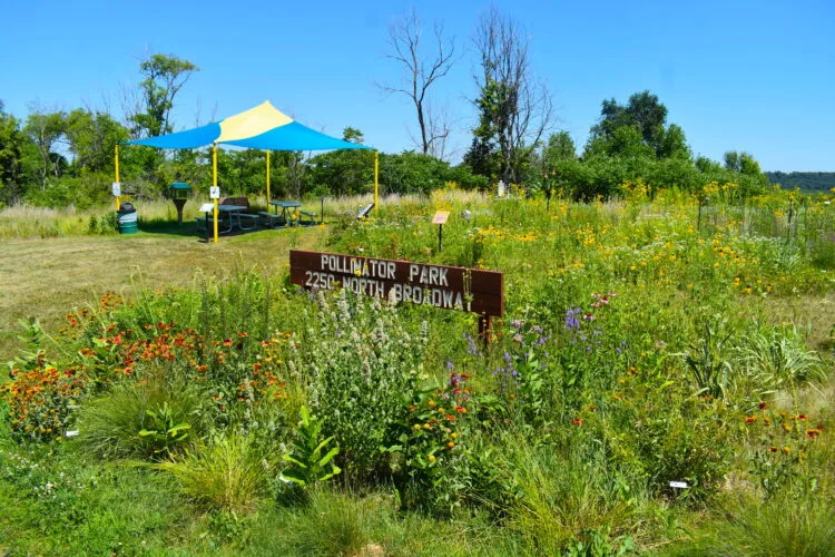 Pollinator Park to blossom