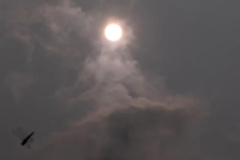 How To Protect Your Lungs From Wildfire Smoke In Minnesota