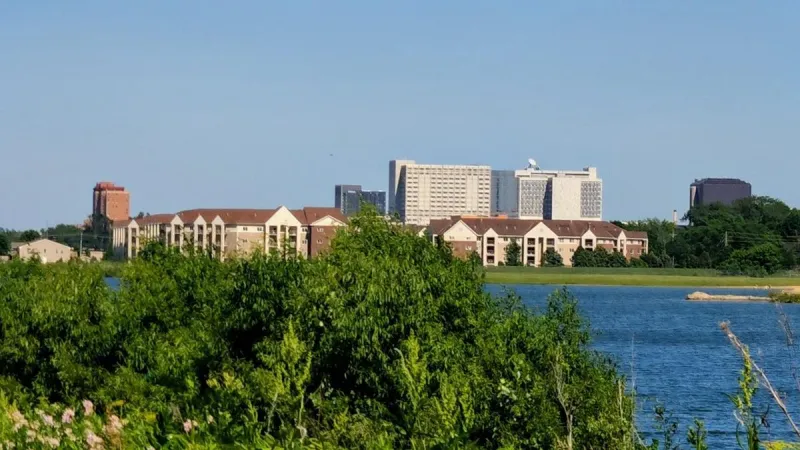 Rochester Trails Statewide Job Growth in Latest DEED Report