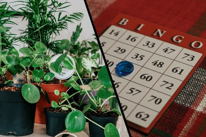 Plant Bingo Is One Of The Hottest Summer Events Near Rochester