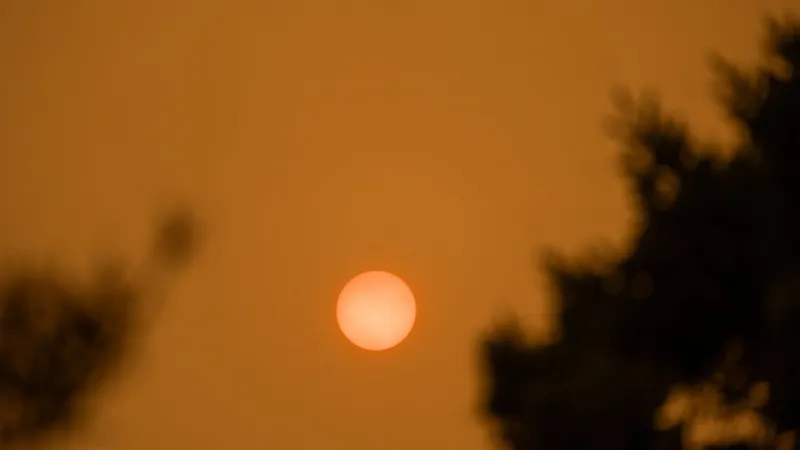 As wildfires burn, Minnesota writer reflects on grief from seeing impacts of flames