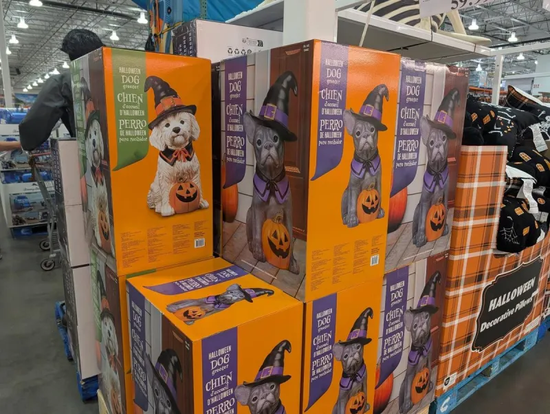 Halloween Decorations Already? It's July, Right?