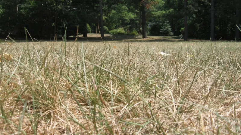 Drought builds north, wraps up southeast