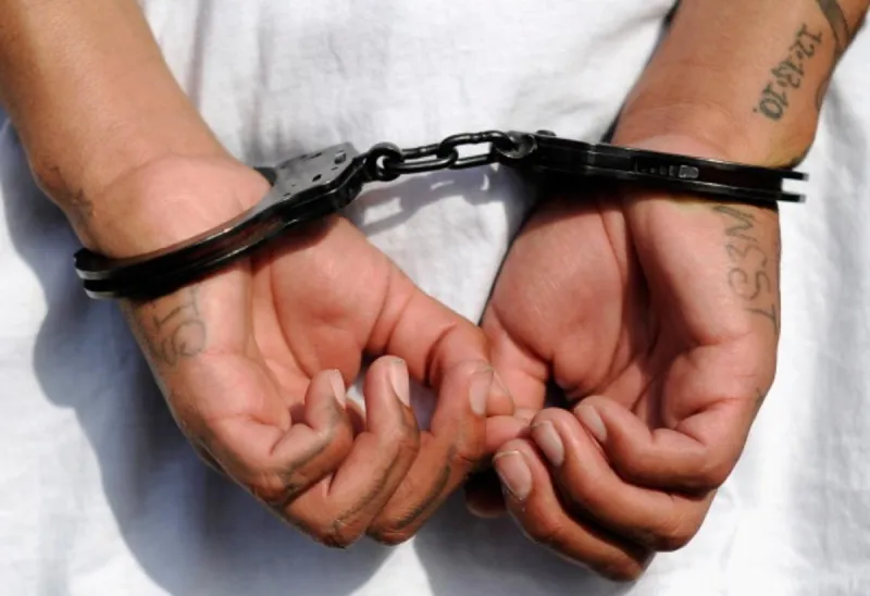 Multi Agency Operation Targets Violent Offenders Across Bemidji Region
