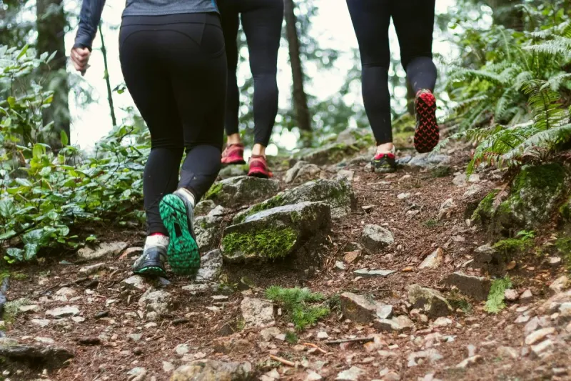 The Southeast Minnesota Hiking Trails Everyone Should Experience