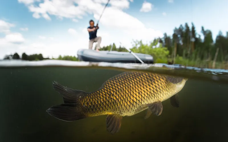 Gone Fishing