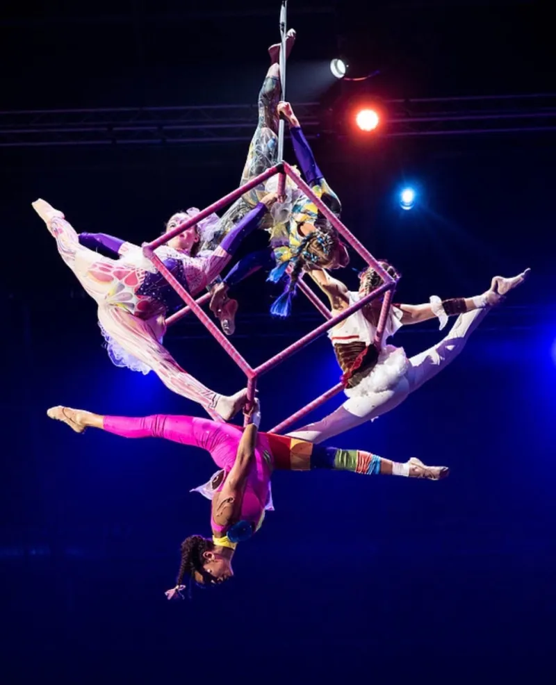 Whimsy at Circus Juventas