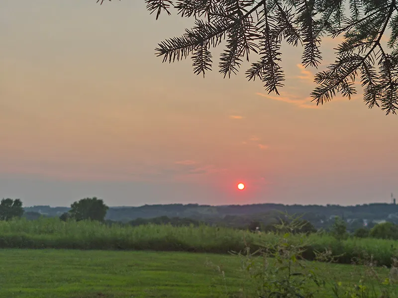 At the End Of The Day ... Ponderosa Sunset