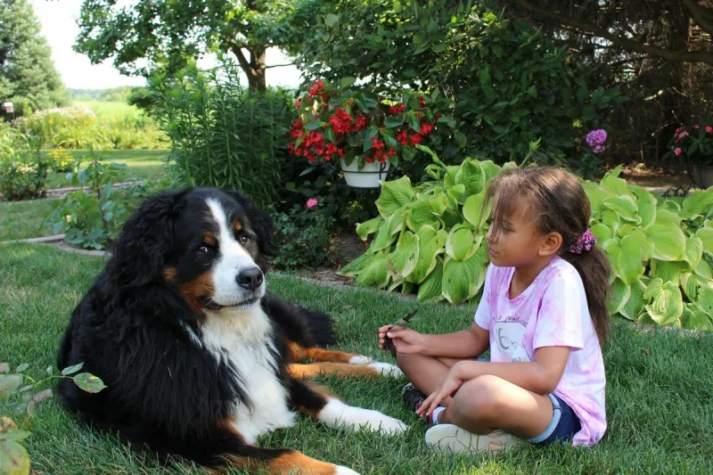 Kids Reading to Pets - They Both Love This Program in St. Cloud
