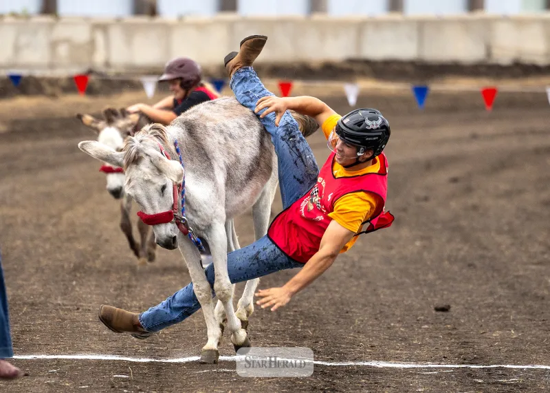 Fair time fun in the grandstands excite crowds