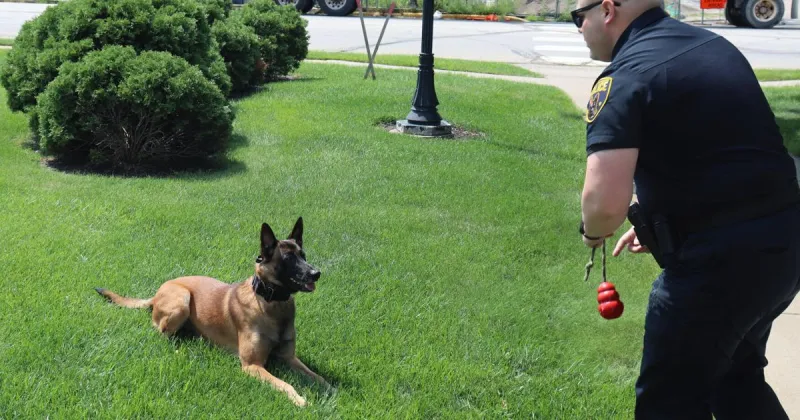 Police 'recognize the value' in what can be expensive K9 programs