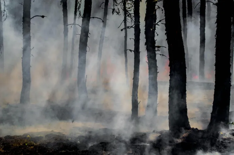 How Do The 2026 BWCAW Wildfires Compare In Size To Other Recent Historic Minnesota Wildfires?