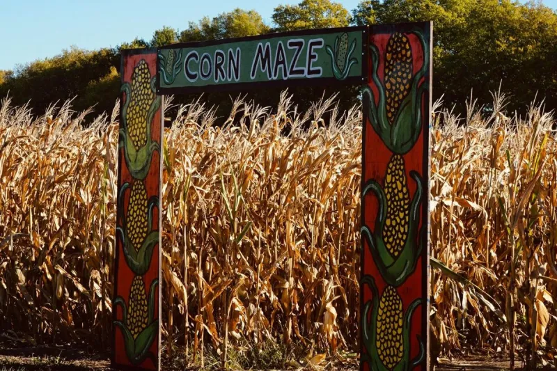 A-Maze-Ing! Stoney Brook Farms Reveals 2026 Corn Maze Design